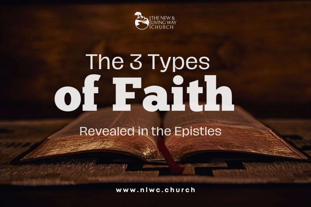 3 Types Of Faith In The Bible - Bible Wisdom Hub