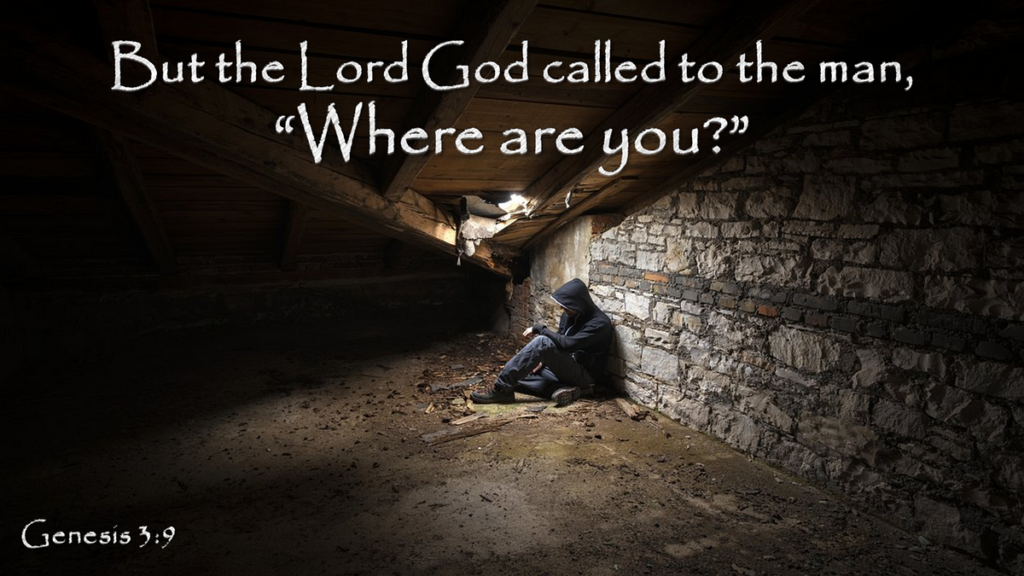 Scripture Images Hidden Hidden In Plain Sight Bible Verse - Bible Wisdom Hub