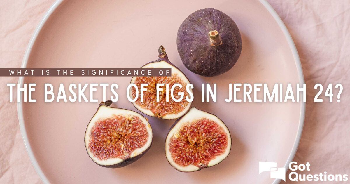 What Do Baskets Symbolize In The Bible Bible Wisdom Hub