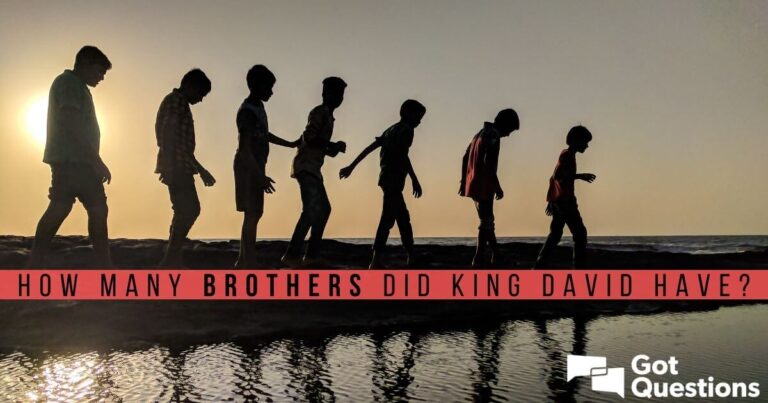 Who Were David's Brothers In The Bible - Bible Wisdom Hub